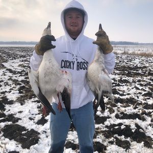 Meet your Posher, Garrett